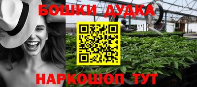 стафф Новокубанск