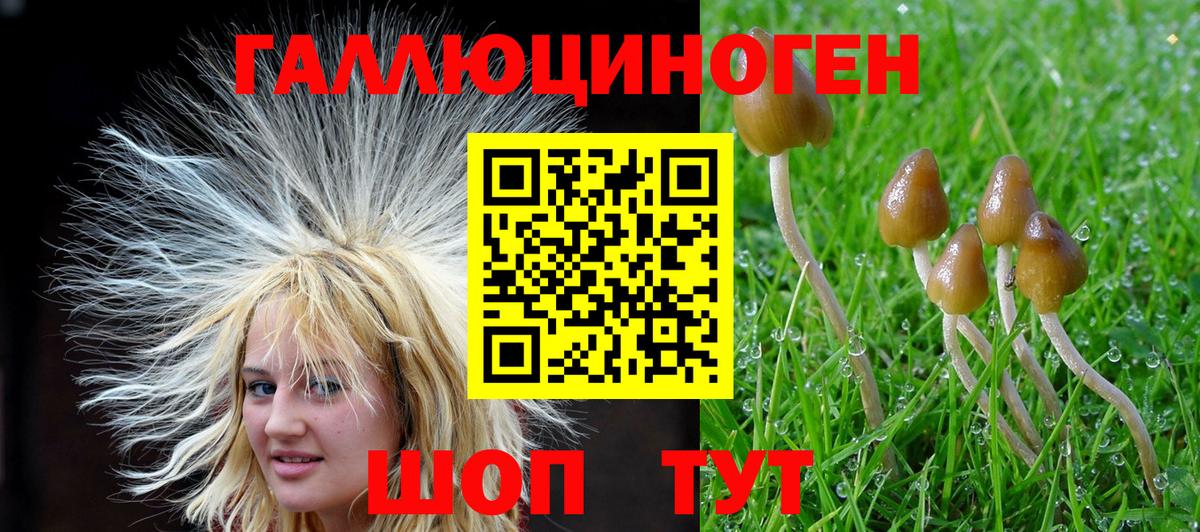 Галлюциногенные грибы MAGIC MUSHROOMS Шелехов