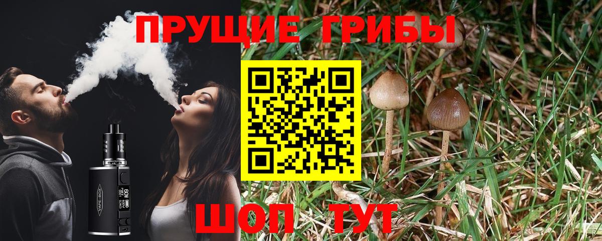 Псилоцибиновые грибы Psilocybine cubensis  Вход с VPN  Шелехов 